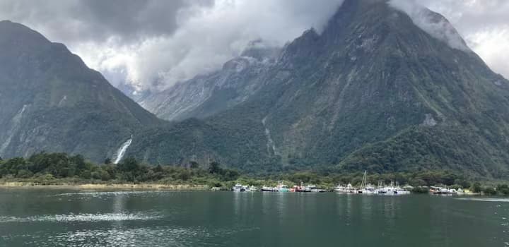 Milford Sound cruise