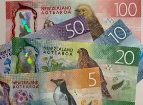 NZ cash notes