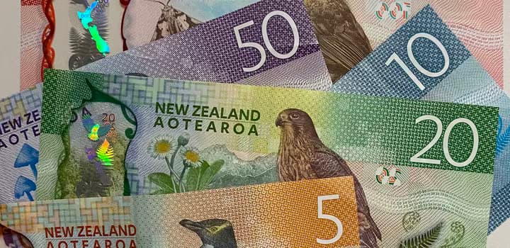 NZ cash notes