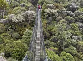 Great Barrier Aotea Track Swing Bridge 2024