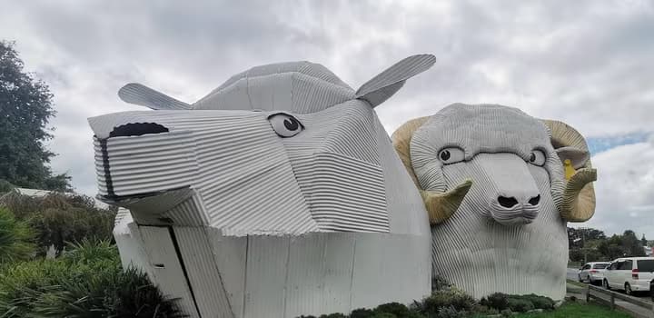Big Dog and Sheep at Tirau