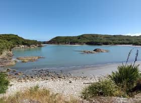 Constant Bay, Charleston