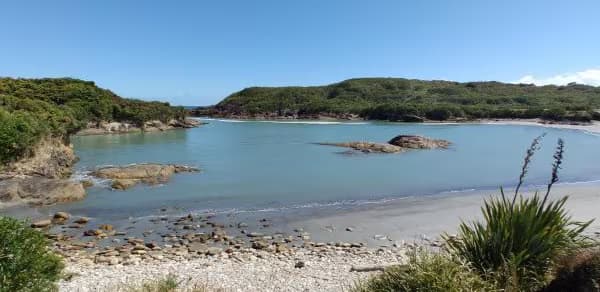 Constant Bay, Charleston