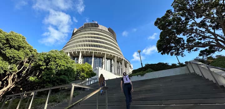 Looking up at the Beehive 2023