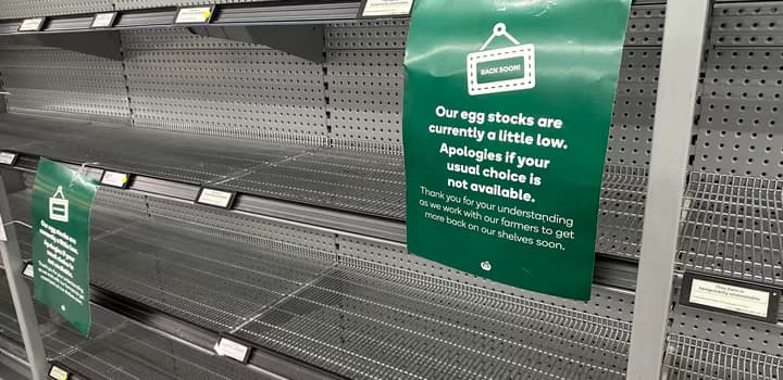 No-eggs-on-shelves-2023