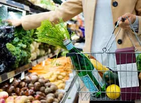 A Person Holding a Basket