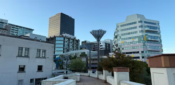 Wellington Central - February 2025