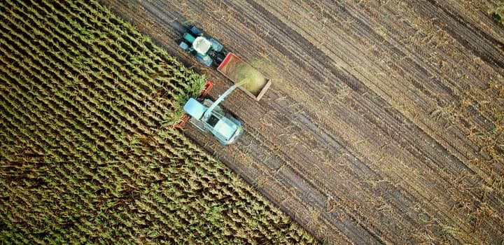 Agriculture