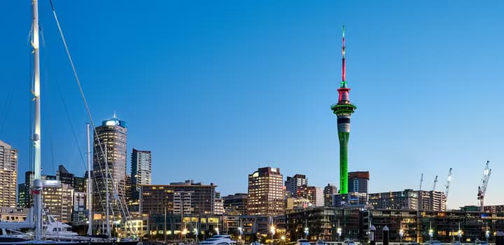 City skyline during night time