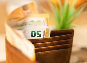 Wallet with Euro Currency Notes and Plant