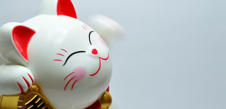 Japanese Lucky Coin Cat