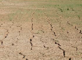 Close-up of dry, cracked ground in a sunlit field, symbolizing drought.