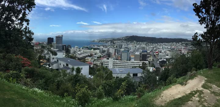 panoramic photo of Wellington City