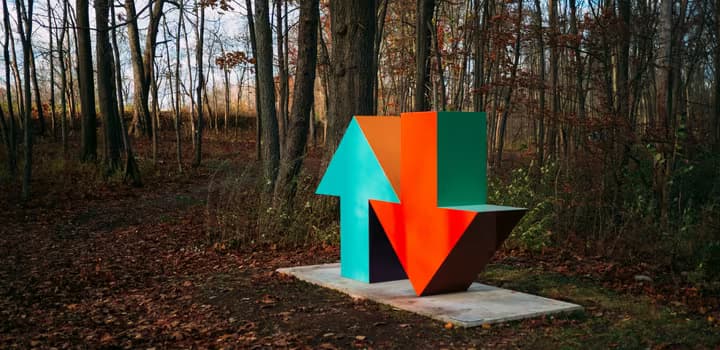 red and blue arrow sign surrounded by brown